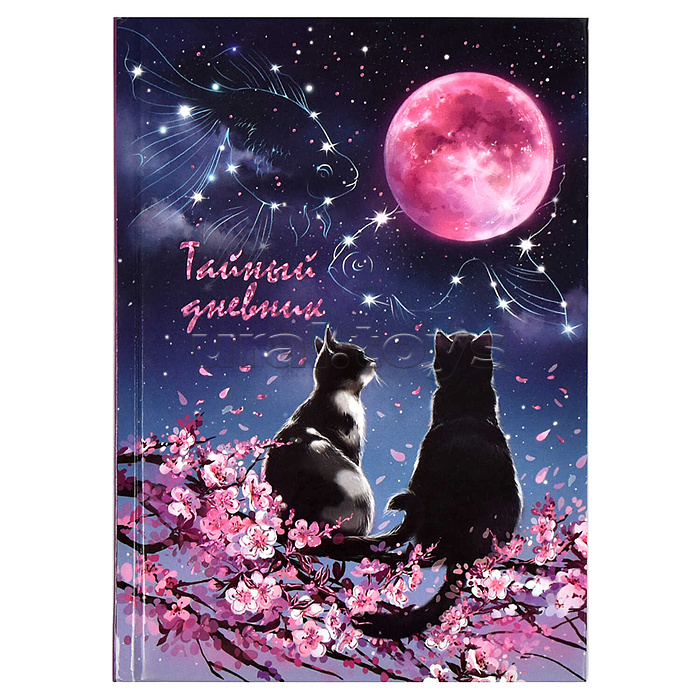 ������� ������, ���������, ���������� �����