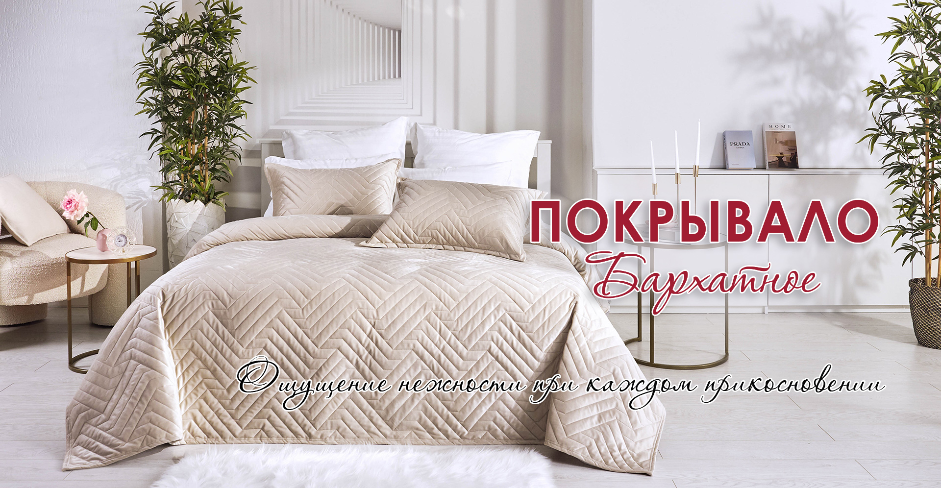 ����������. ������ ����������� ��������� ����! ��������� "������"!