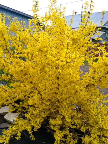 ��������-��������� �����! ������ ������! ������� �� ������ ������