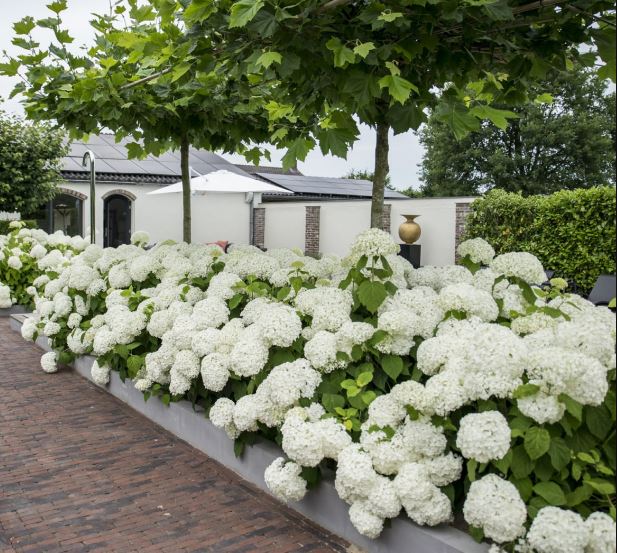 ���! ����� ������� � �� ����������� ��������� ��������! �� ��� ����� ����� ������� ����� ��������!