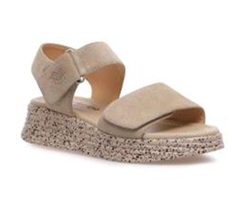 ���� �� ����� ������� �������!!! �� ����� ������ ���� 1599 ���.+% ��������� ������� 38,39,41!!!