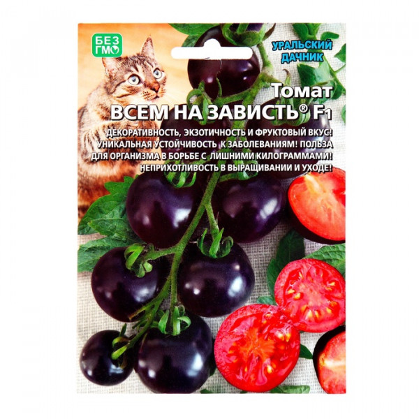 ���������� ������������ ������: �����, ��������� ��������, �������, ������ � ��������, ������� � ����������, ������ � ��������, �����, �����, ����� � ������, ������ ��� �����.