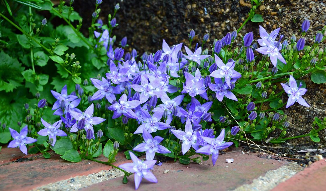 ������������ �� ���! ����� ��� ������������ �������! ����� �������!