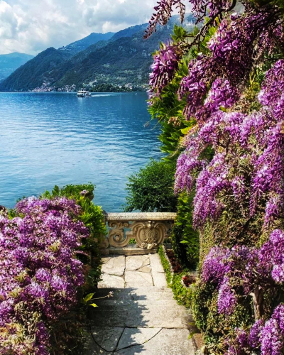 ������� �� ������� � �������� ������� ��������� �������� Raduga/Colibri,������� ���������, ��������, �������, ��������� � ��������� (������)-98