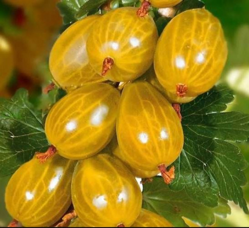 ��������� ������� ������! ������� �� ������� ���������� 