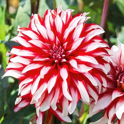 ��������. ���������� ����� � ����� �������������