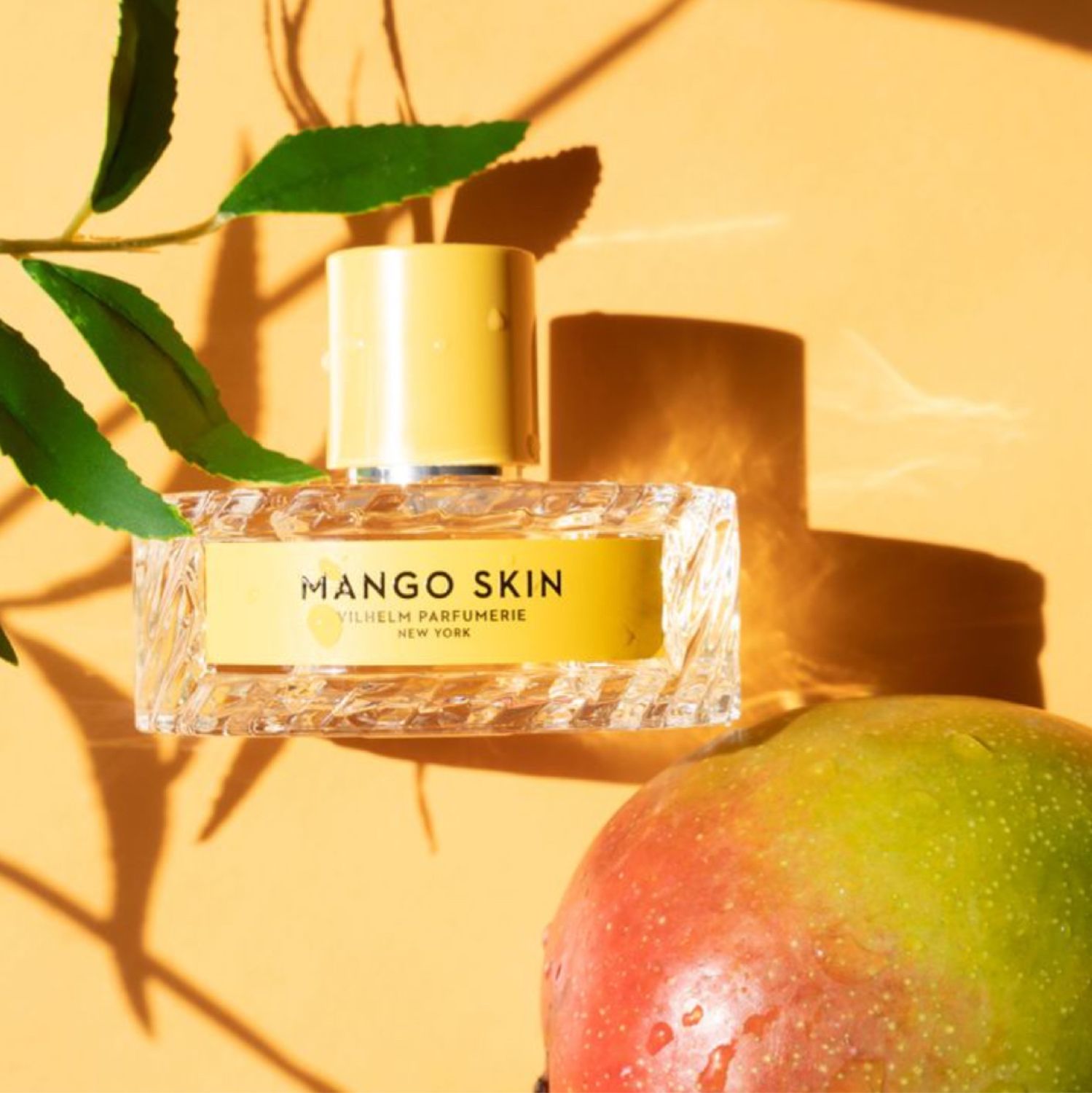 ���� �������. ����������. ������, ������ � ������������. ��� ��� ����������� ��������! ������- 53.