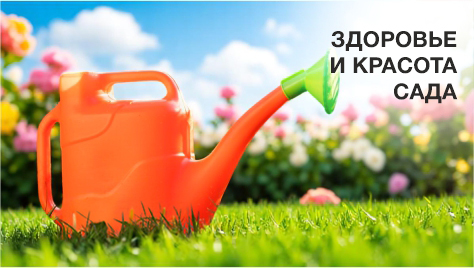 ����������. ��������� ��� ���� � �������. ���������� ������� �������� ����.