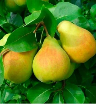 ������ ��������! ����������� ������� �����! ��� ���� ���� �������� � ���� ����� ������� �� ������ � ������� � ���� 6 ������ ��������� ������ ! 