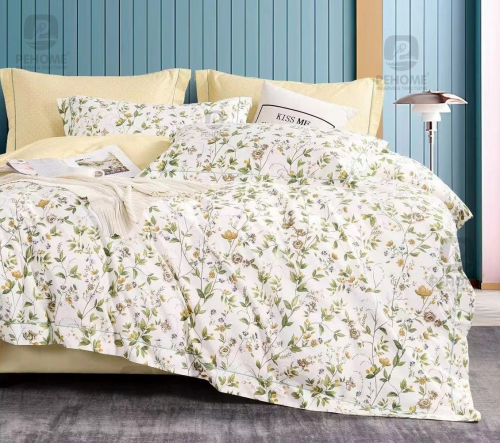 �������� ���������, ��������� ��������