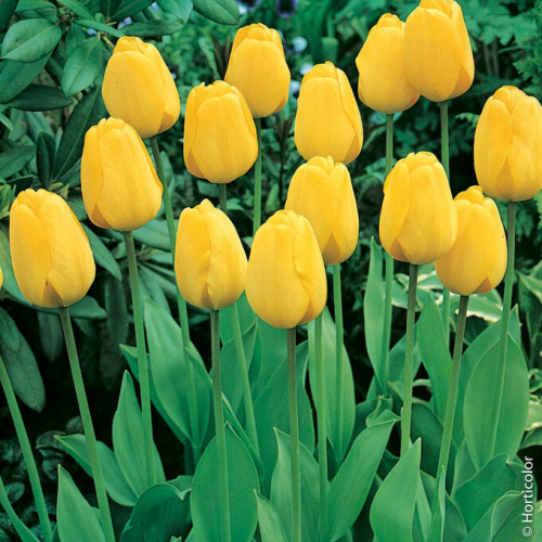 �������� � ������ ���������� �����