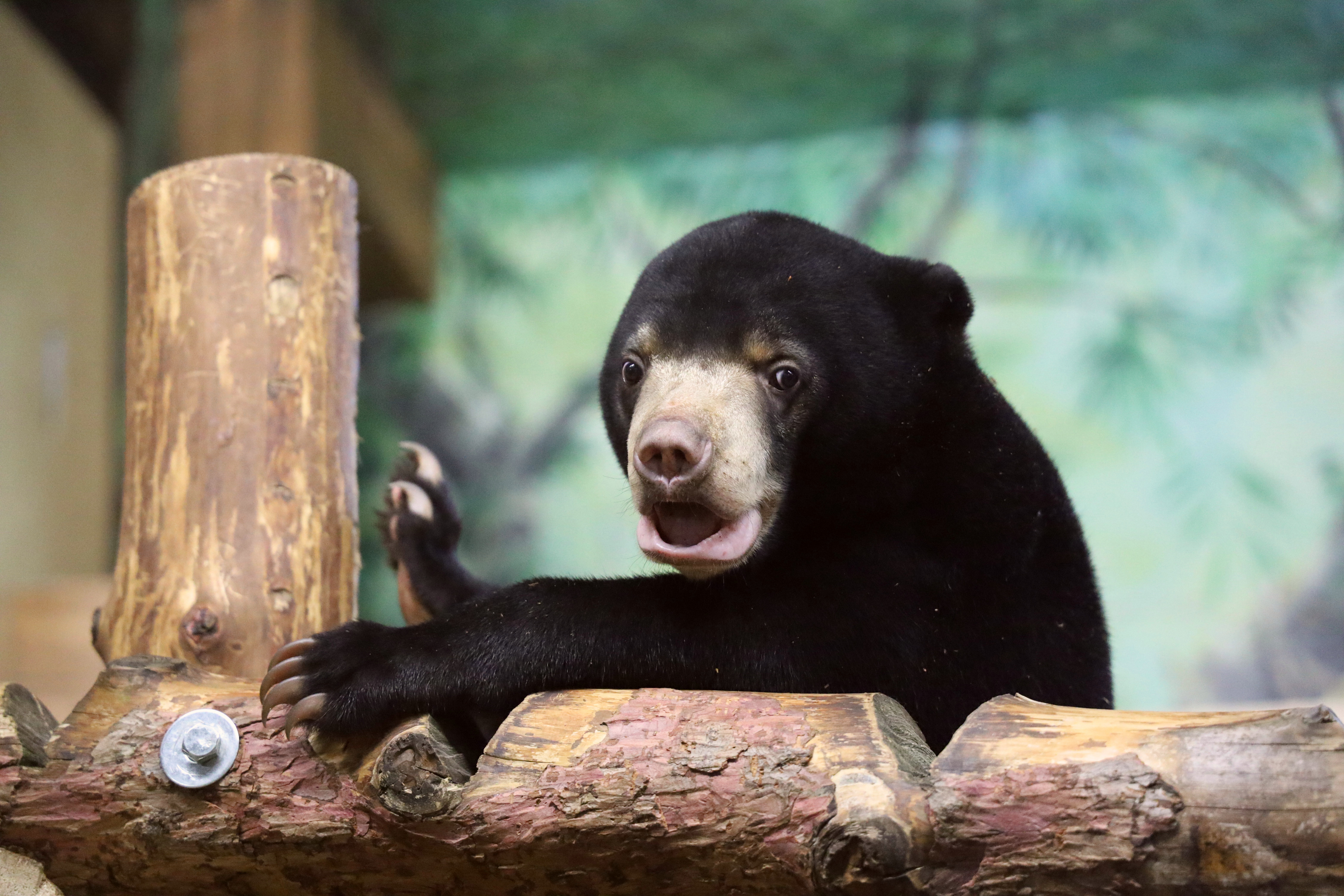 COLDY ����� �� ���� ������ � ������ ��������� ���������� � ���������� ��������?