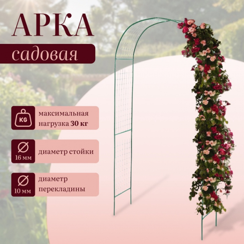 �� 14.05 �������� ��������� � ������� ������, ��� ��� ���� � ������.������, ���������,�����������, ���������. ����� ��������.�����-46