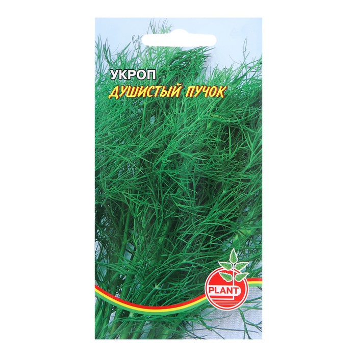 ������ - ����� ������ � ���������� ������������