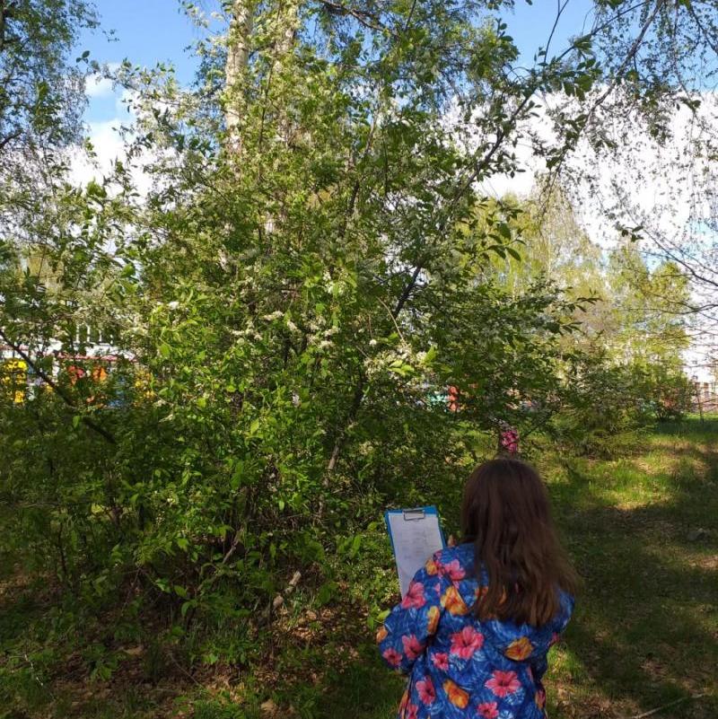 ������� ���� ����� � �������� ������������� �����