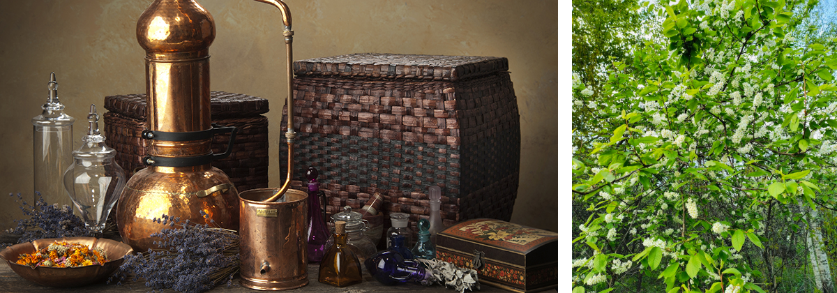 ��� ���������. ���������, ���������, ���������������� �� ������ �������� �� �������, ������������ �������, ���������� ������� �����.