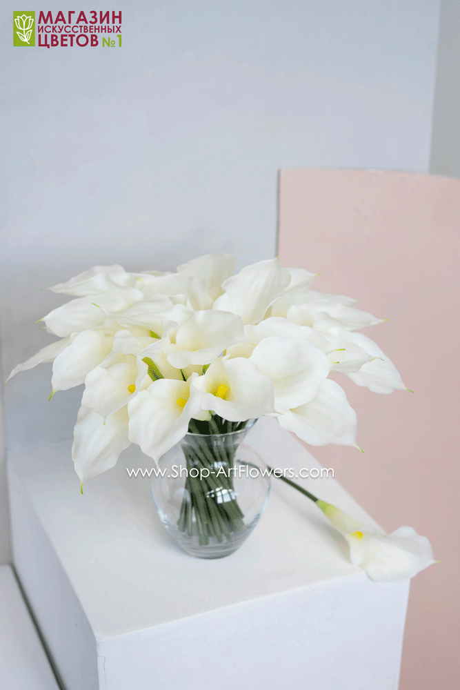 ����� ����� 11 ��-���������� ��������!!!