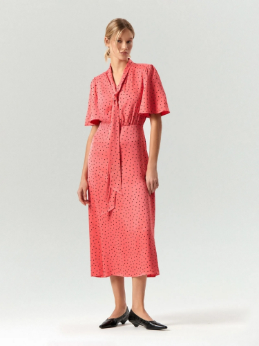 ���� �������!