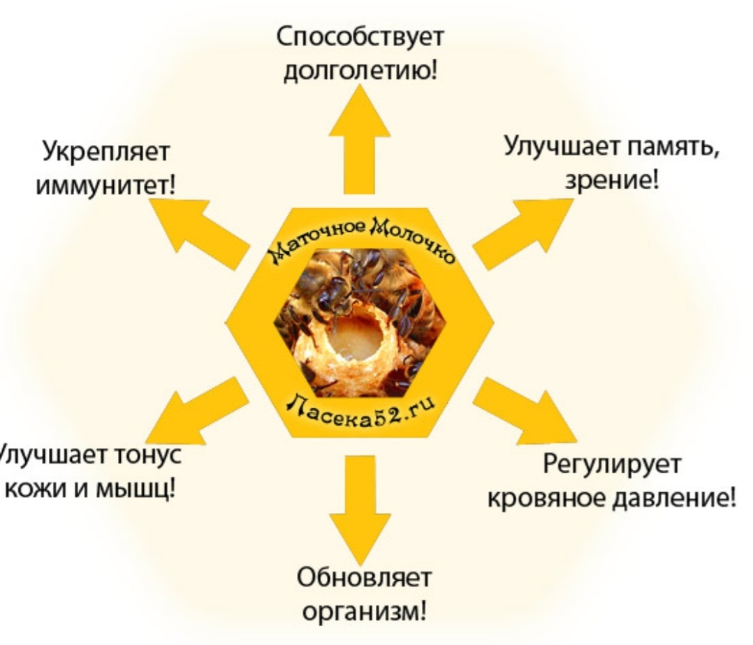 �������� ������� ����������������� 60 ����. - ������ �������, ��������� � ��������