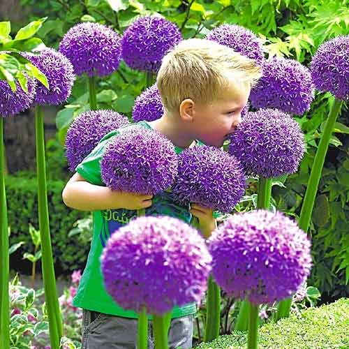 ���������� ����� �� ����� 2025