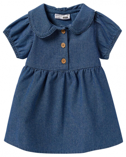 ������ � ��������