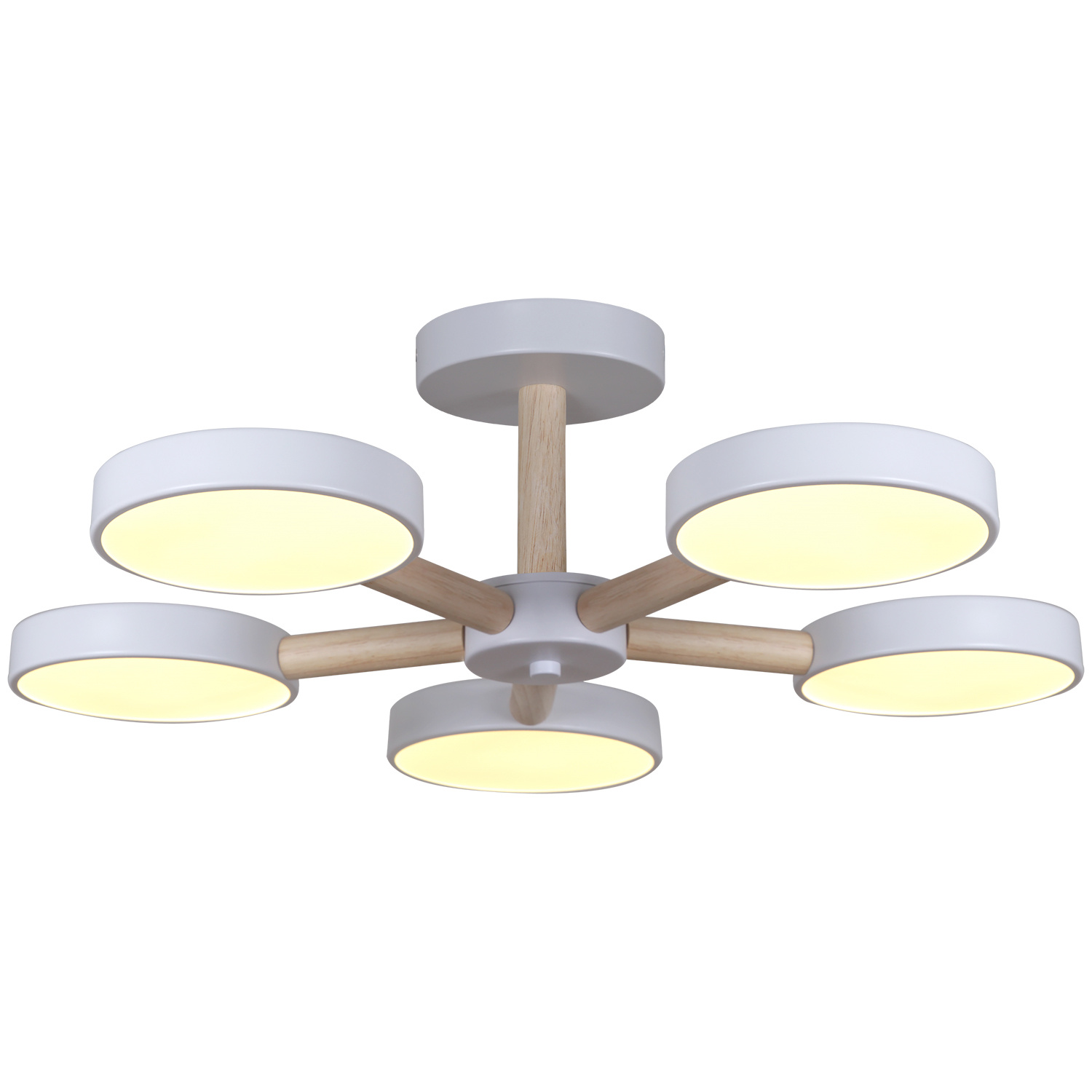 ������ ������������ � ��������. �������. ������� ���������. �������� � ������������� �����������. ����������. ���� � 2 ���� ���� ����������.625