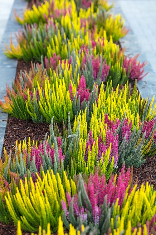 ����������� ������� ������������ �������� � �����������, �������. ������! ��������� �� ����� 2025!