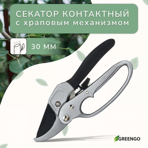 ������� Greengo ������������ ��� ������������ ��������� ����� � ������������ ����� �������� � �����������. ����� ������������ ��� ����� ��������� ��� ��� �������� ������ � ��������.