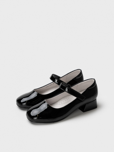 ���� ����� �����