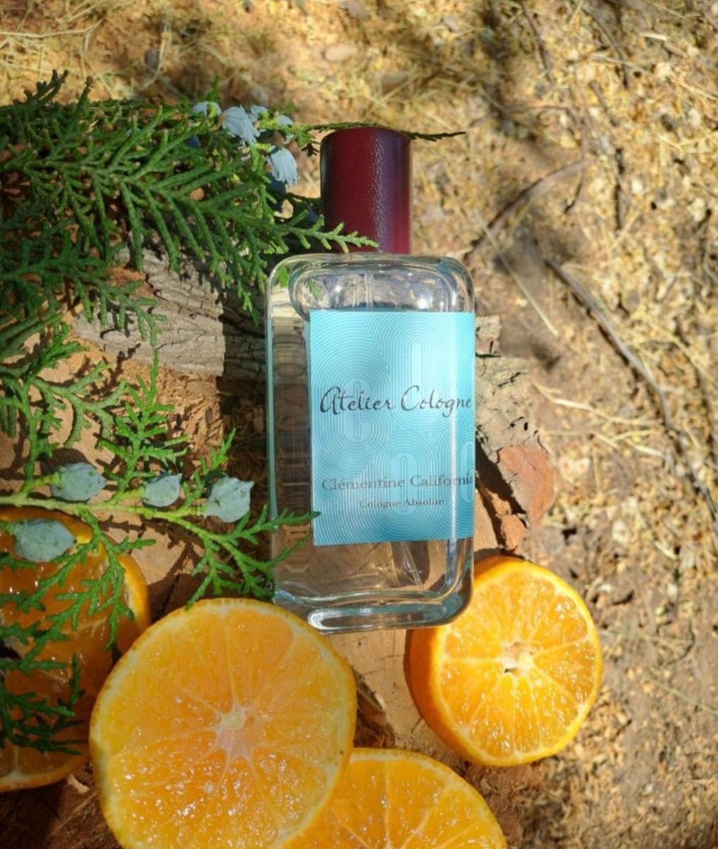 ��� ������ ���� ����? ������ ������ � ������ ��� ���� ����� ����� ������!