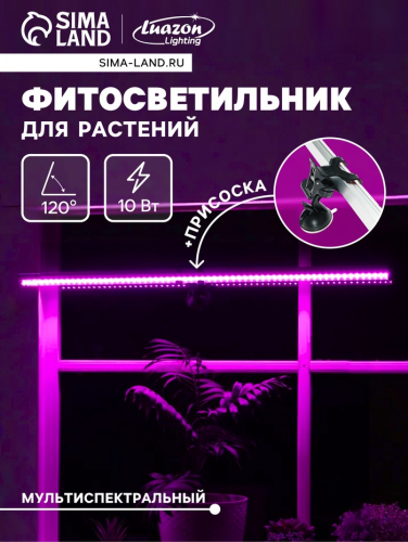 �� 11.06 �������� ��������� � ������� ������, ��� ��� ���� � ������.������, ���������,�����������, ���������. ����� ��������.�����-50 