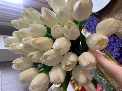 ����, � ���� ��� ������� �� ����� �� ������ �������, � �������, ����� �������� � ���� ��� ������!�������� ������