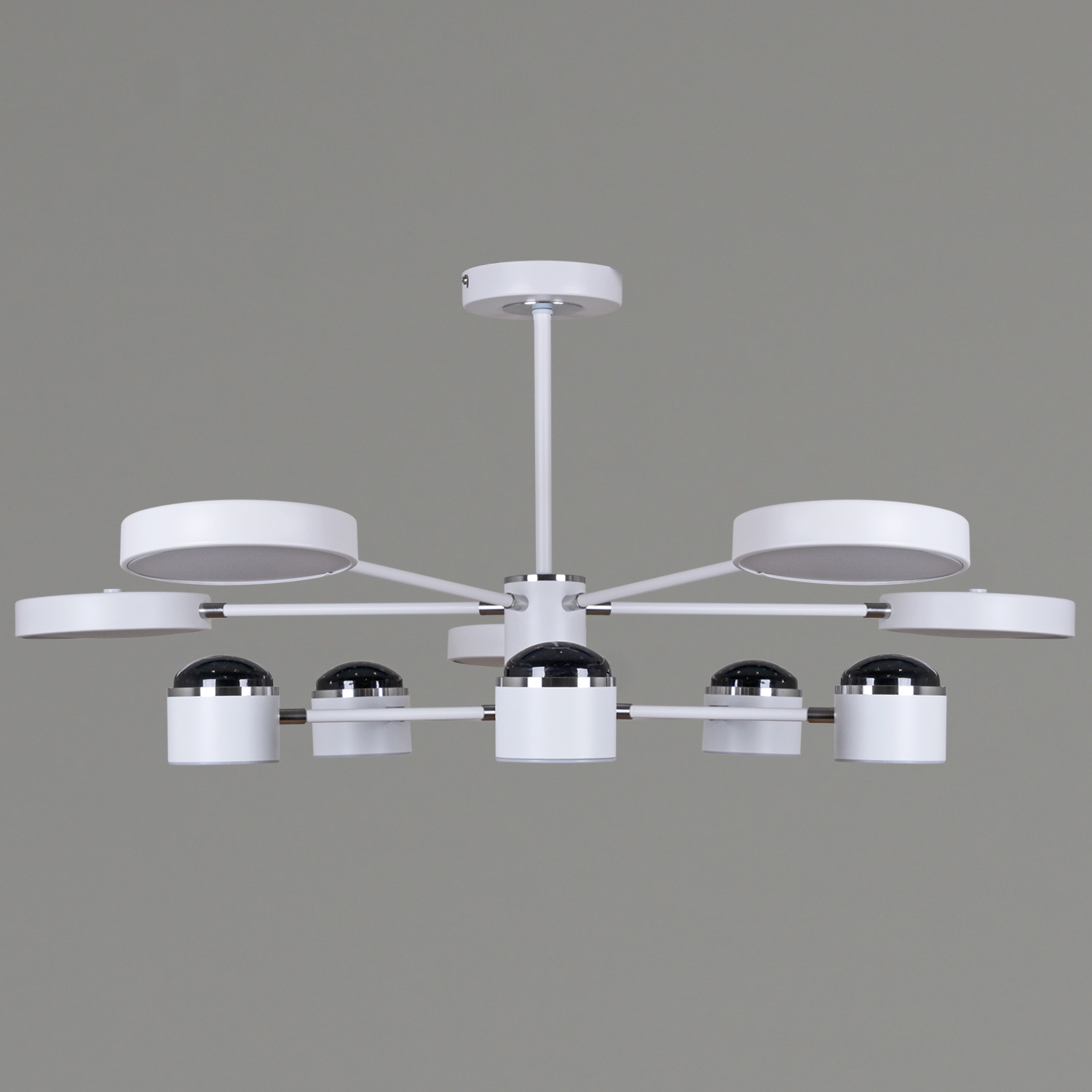 ������ ������������ � ��������. �������. ������� ���������. �������� � ������������� �����������. ����������. ���� � 2 ���� ���� ����������.725