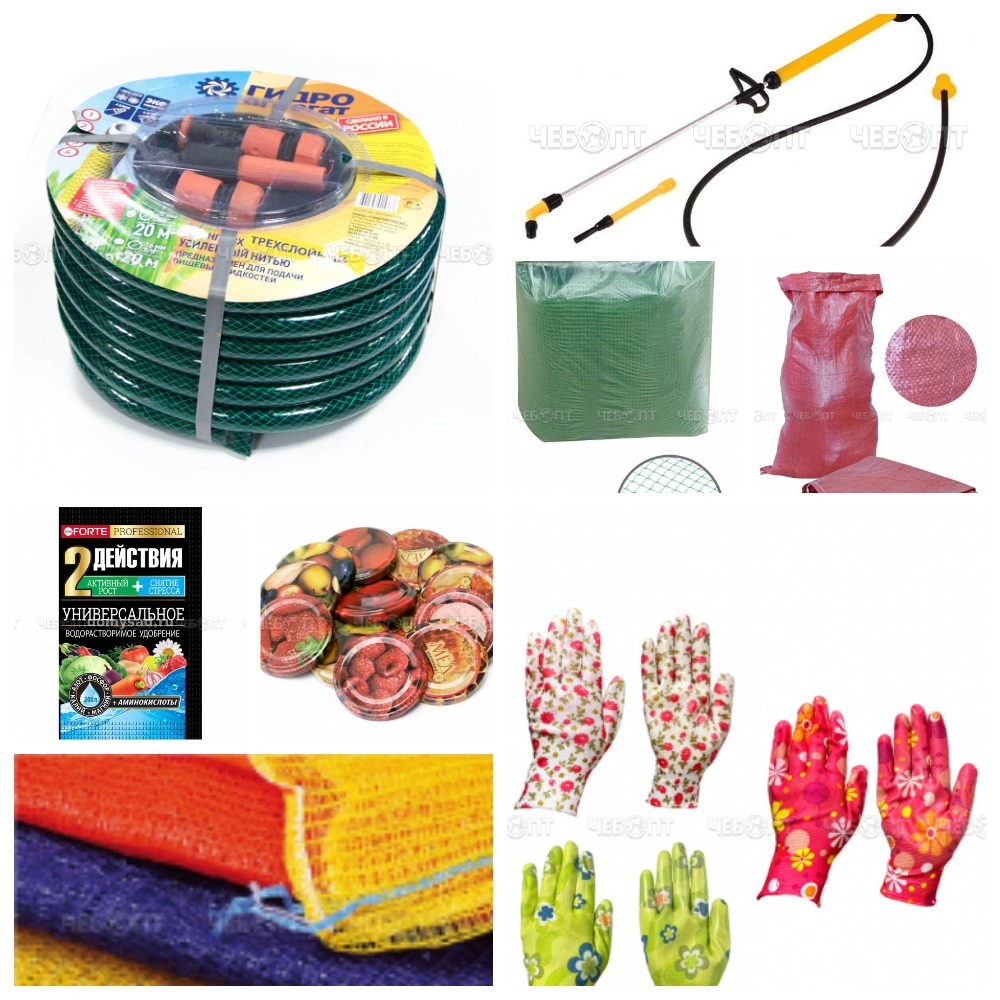 [b]���� �� 29.06.2025 ������ ��� �������, ���������, ���������������, �����, ��������, �������� ��������![/b]