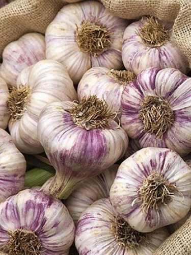 ���� ������� ������ 22. ���������� ������. (�� 15.08).