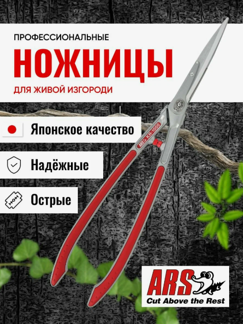 ������� ���������� ARS. ������. ������������ ��������-����!