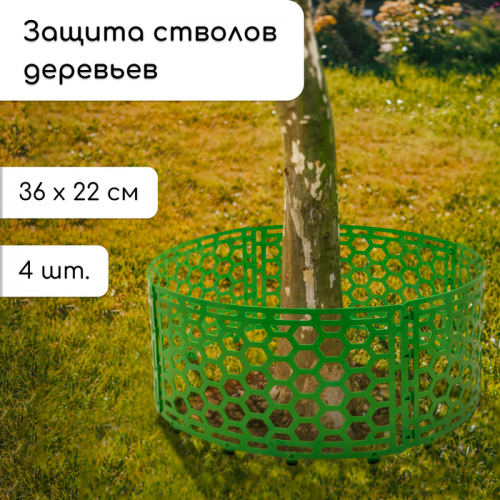 �� 25.06 �������� ��������� � ������� ������, ��� ��� ���� � ������.������, ���������,�����������, ���������. ����� ��������.�����-53