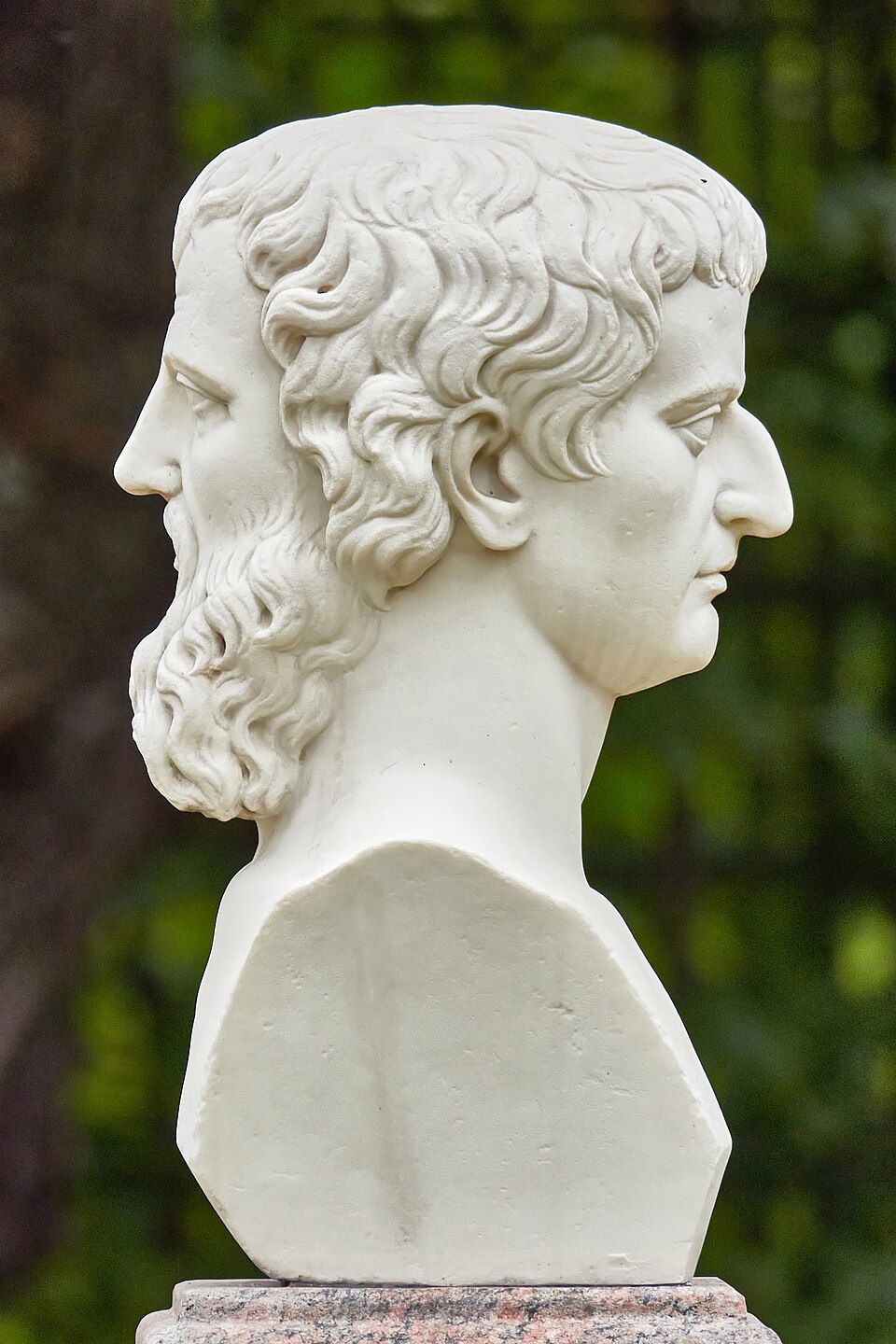 ���� ��������.