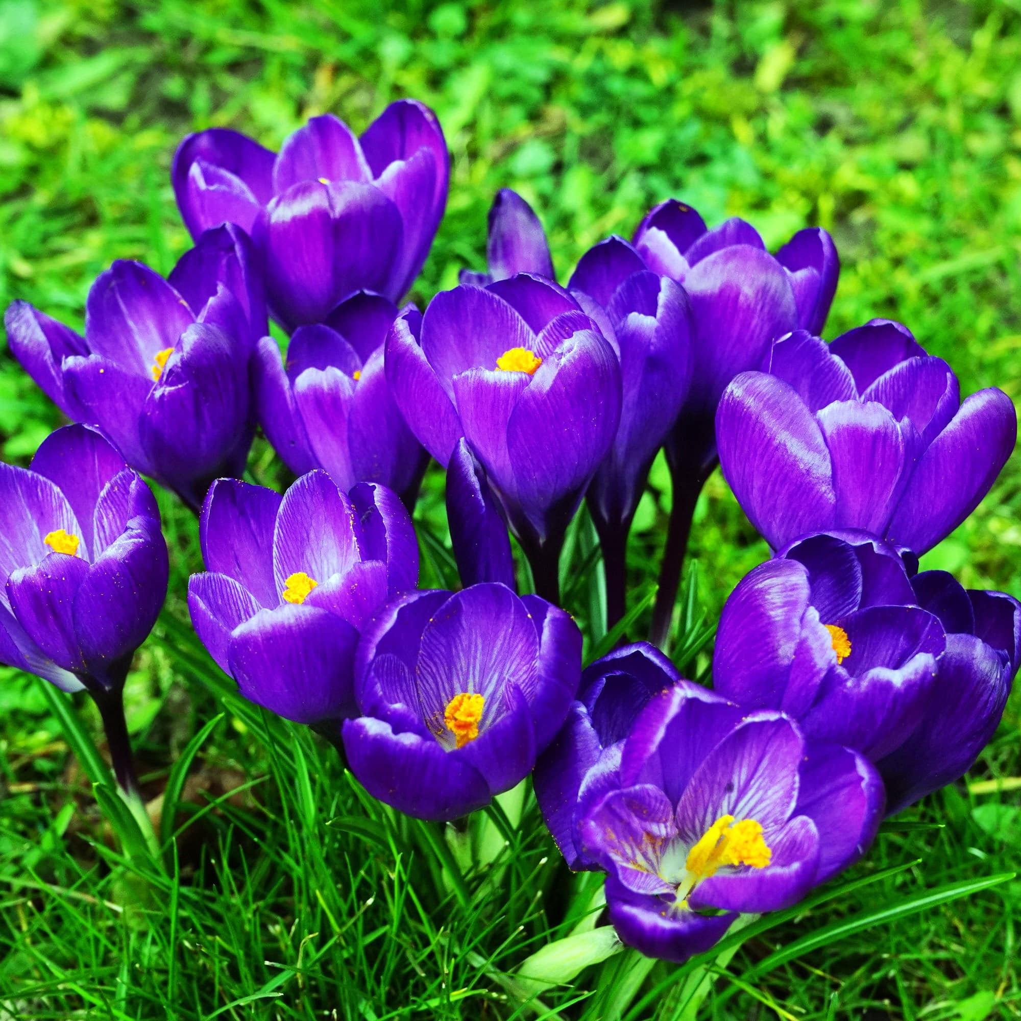 ���������� ����� � ������������