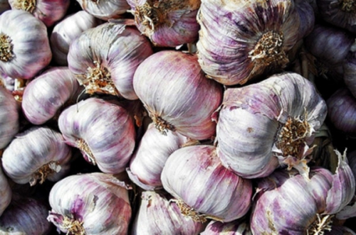 ���� ������� ������ 23. ����������. (�� 15.07).