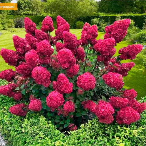 ���� �� 10.07 ����������� �������� ��������. ��������� �������� �� �������� �����. � ���� ���������� ��� � 1,8 ���