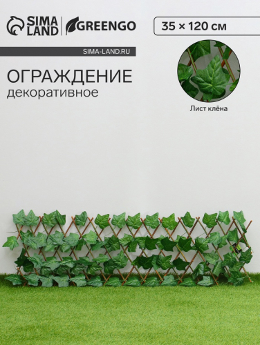 ������������ ���������� Greengo � ���� ��̣��� ������� ������ ��������� ������ ���� ��� ����. ������� ������ �� ������� ����� � ����� ��������� ��������� ���� ��� ���������� �������������