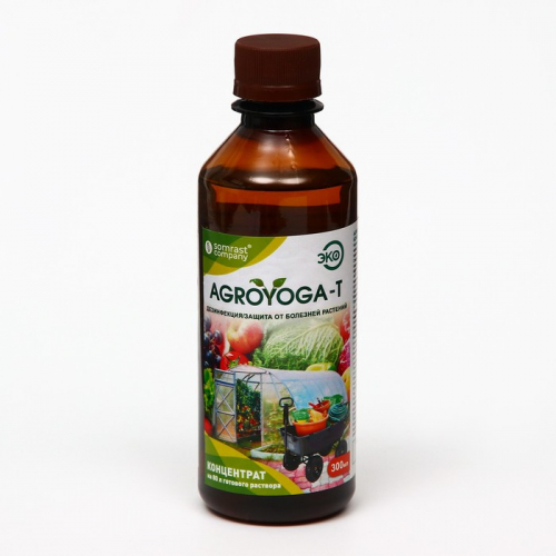 ����������������� �������� ������������ �������� ������� ������������ �������� � ���������� ��������� ��������, ������� ������������� ��� ��������������� ��������� �������� ���������, ������, ��������, ������� ���������� ����, ���� �������� ������, ������