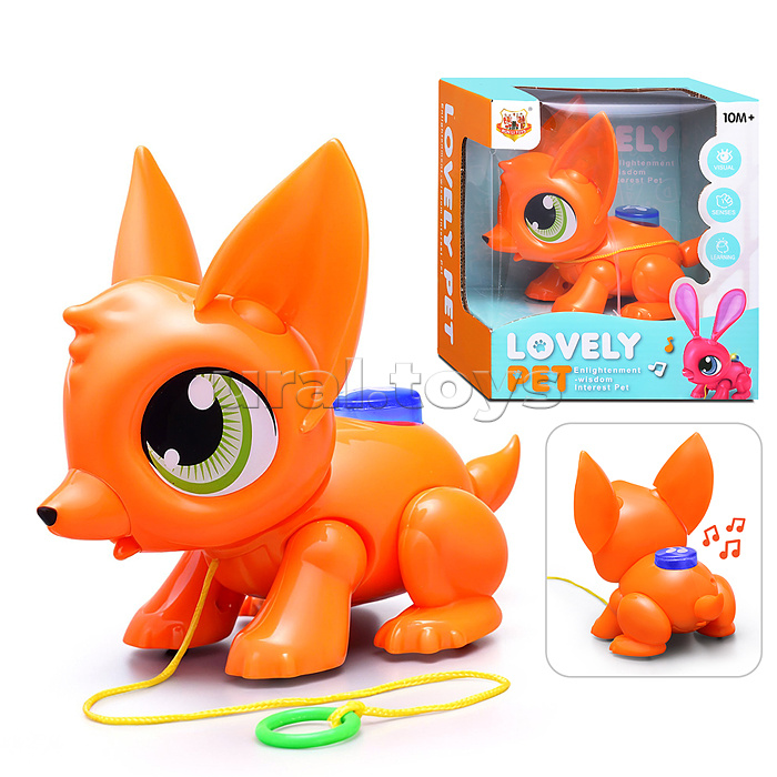 ����� ����� ����� ���������� �������. ��� ����. ����� ������ �� 30.07