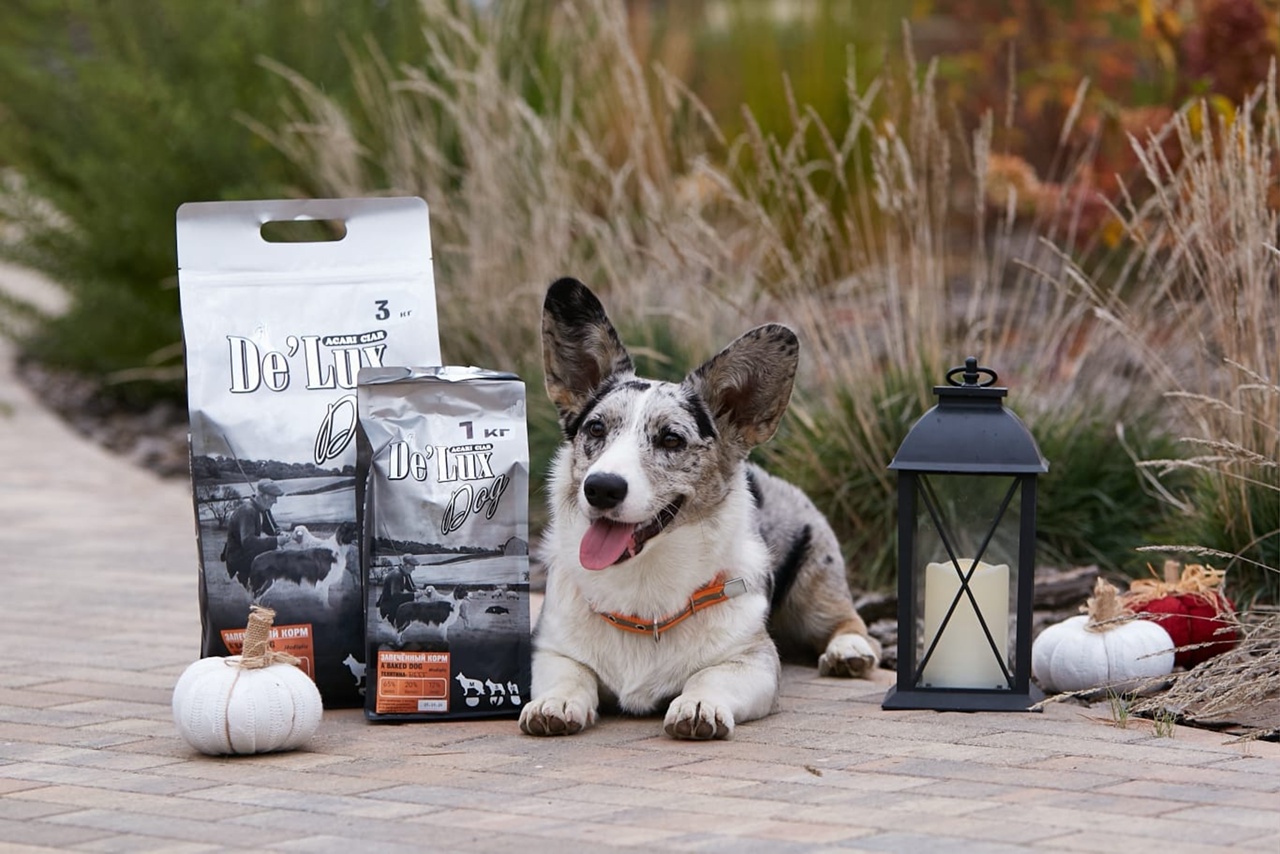 ��������-���� 1 ����! Acari Ciar (����� ����)-��� �����, ������� ����� �������, � �������� �� ���������! ���� ���� � 2 ����, ��� �� ��!-9