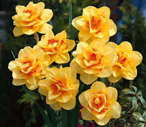 ���������� ����� � ������������