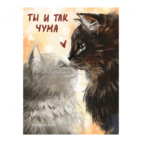 ����� ����� 57. ���������� ������� ����� �����, ����� ���, �������-������. ��� ��������� � �������. ��������� � �������. 