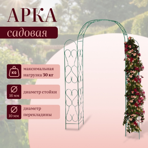 �� 23.07 �������� ��������� � ������� ������, ��� ��� ���� � ������.������, ���������,�����������, ���������. ����� ��������.�����-57