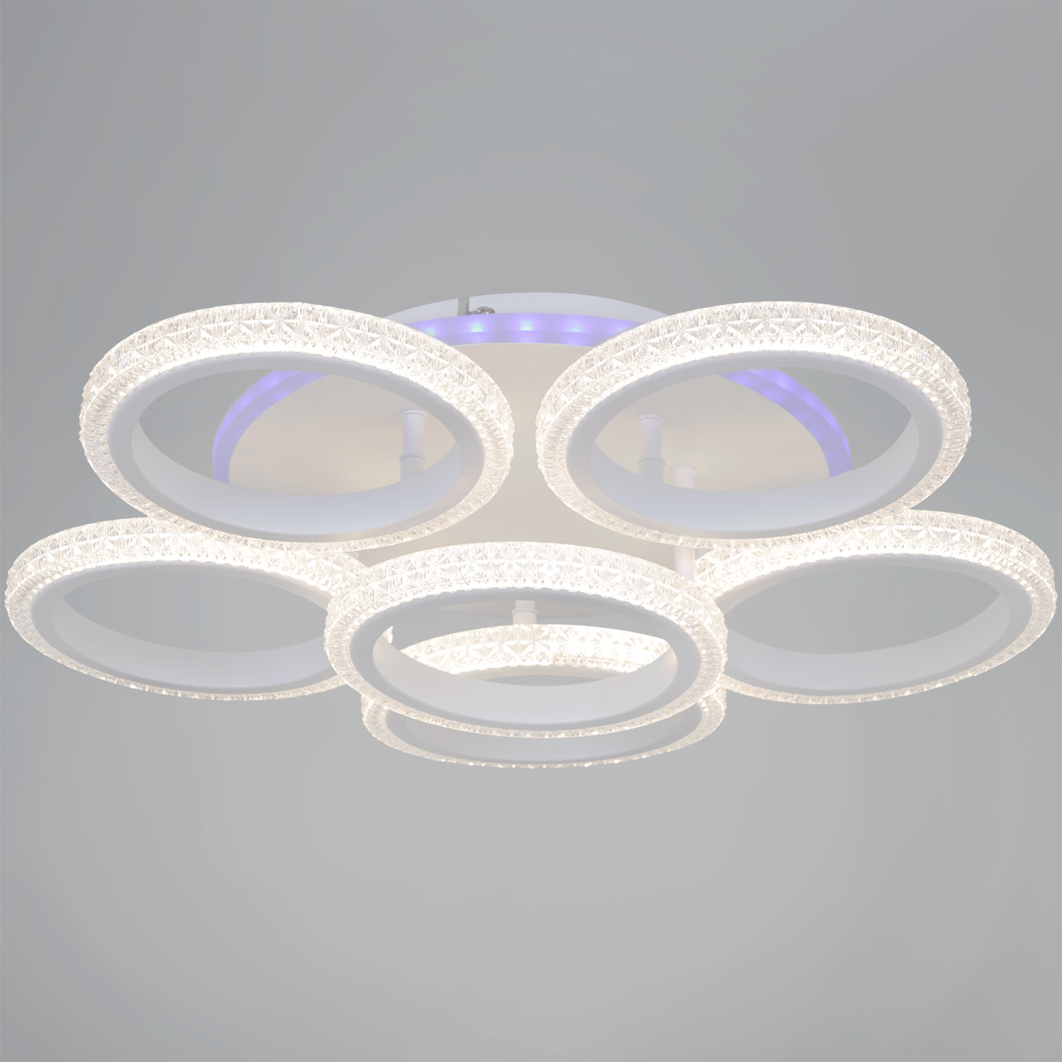  ������ ������������ � ��������. �������. ������� ���������. �������� � ������������� �����������. ����������. ���� � 2 ���� ���� ����������.