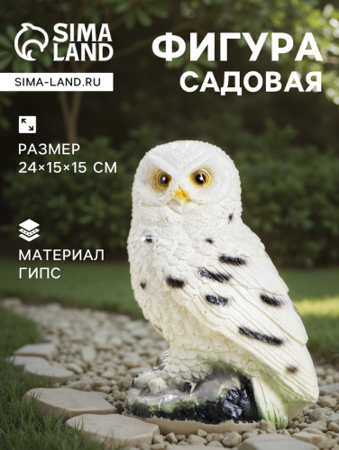 �� 30.07 �������� ��������� � ������� ������, ��� ��� ���� � ������.������, ���������,�����������, ���������. ����� ��������.�����-58 